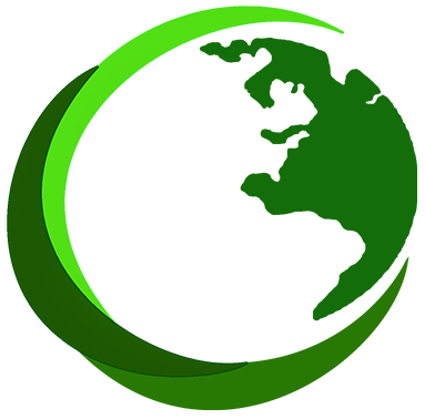 DMF Logo